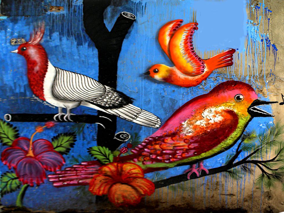 Rua Cardeal Leme, bairro do Bixiga